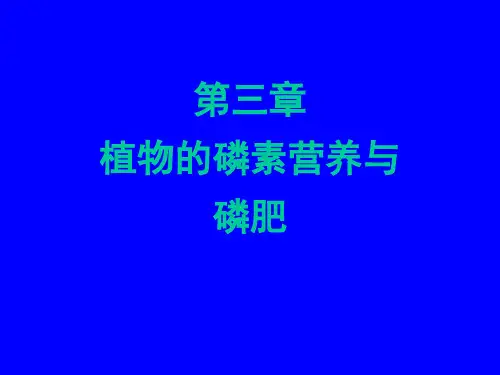 第三章植物磷素营养与磷肥