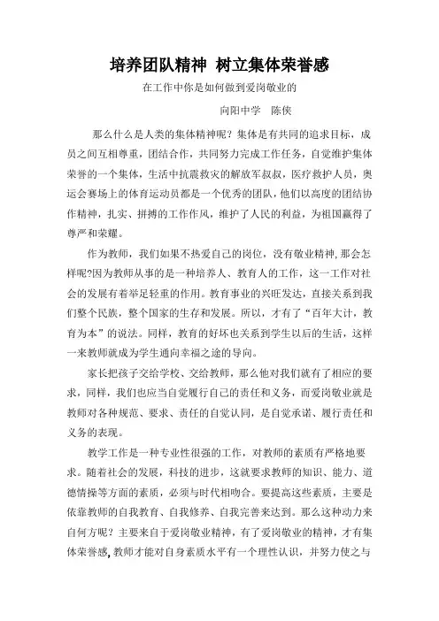 培养团队精神 树立集体荣誉感 Microsoft Word 文档
