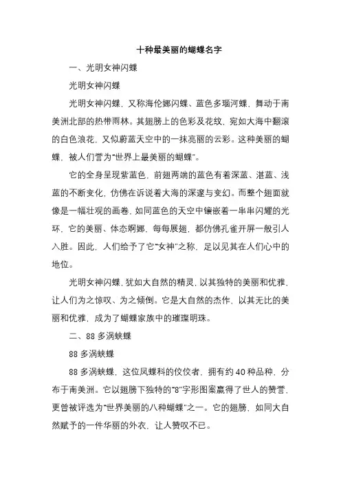 十种最美丽的蝴蝶名字
