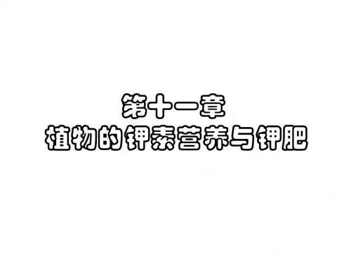 肥料学-K素