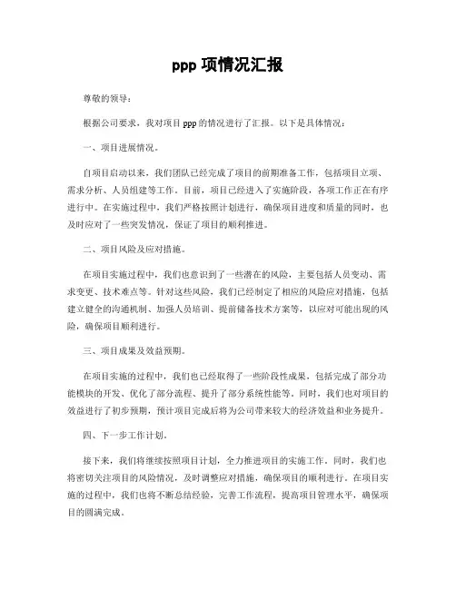 ppp项情况汇报