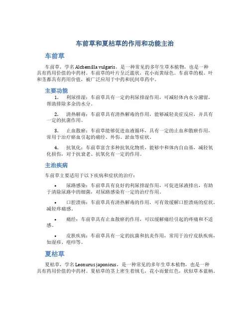 车前草和夏枯草的作用和功能主治