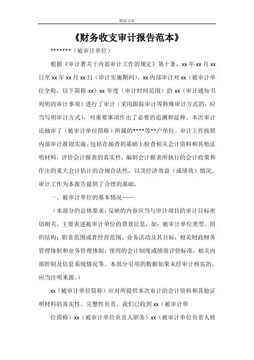 《财务收支审计报告范本》