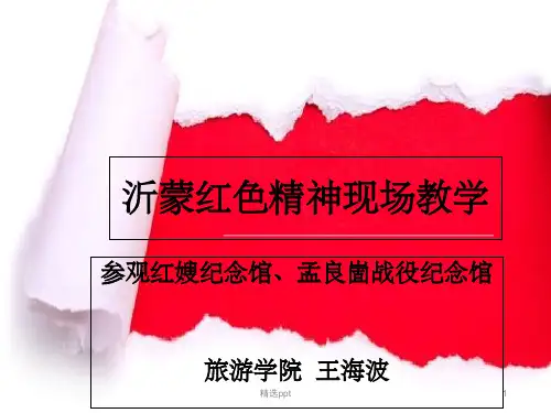沂蒙红嫂ppt课件