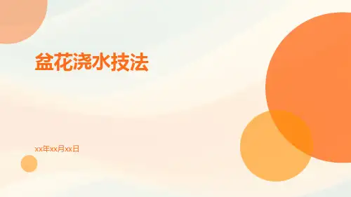 盆花浇水技法