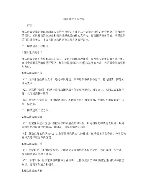 梯队建设工程方案