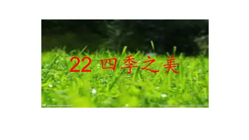 四季之美课件(完美版)(共25张PPT)