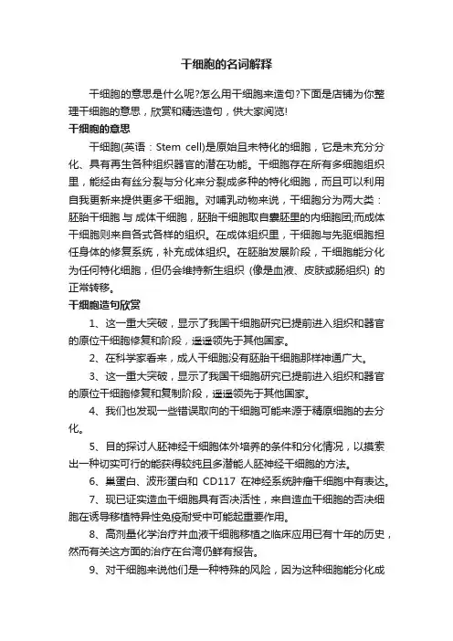 干细胞的名词解释