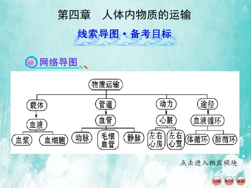 第四章人体内物质的运输考试课件PPT