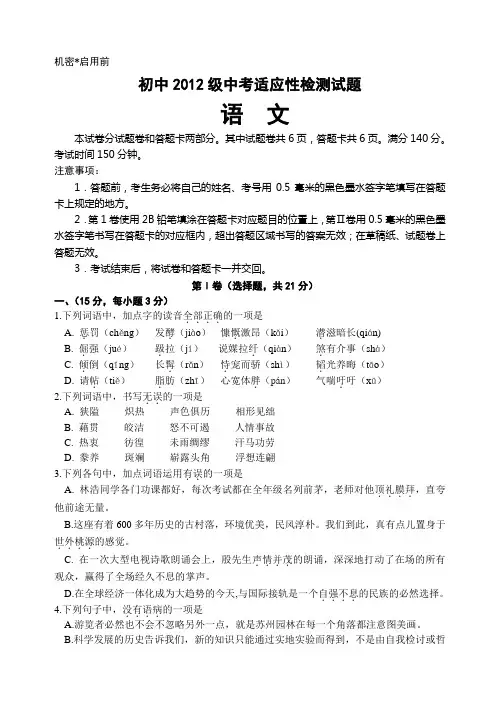 绵阳市中考语文试题