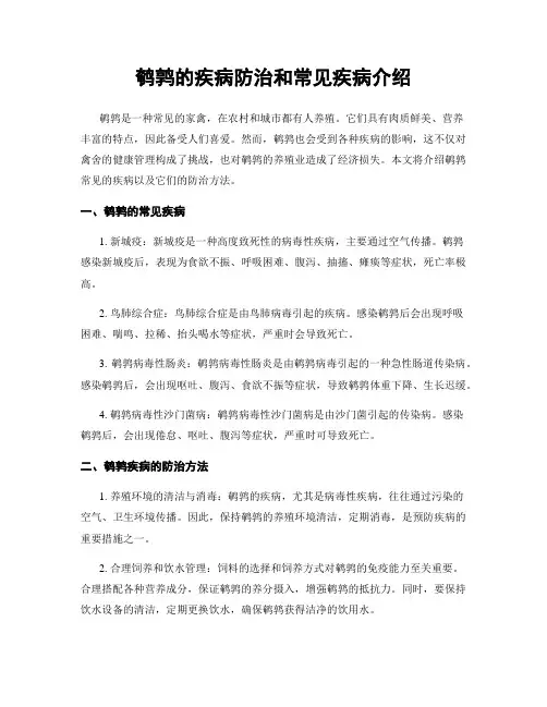 鹌鹑的疾病防治和常见疾病介绍