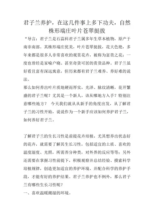 君子兰养护,在这几件事上多下功夫,自然株形端庄叶片苍翠挺拔