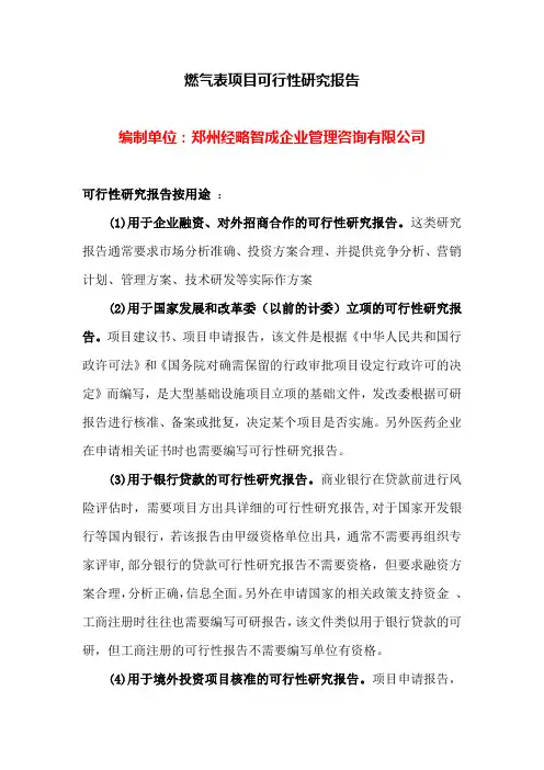 燃气表项目可行性研究报告