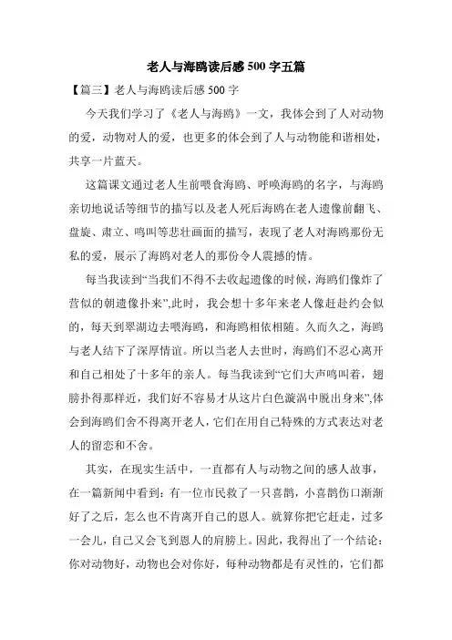 老人与海鸥读后感500字五篇