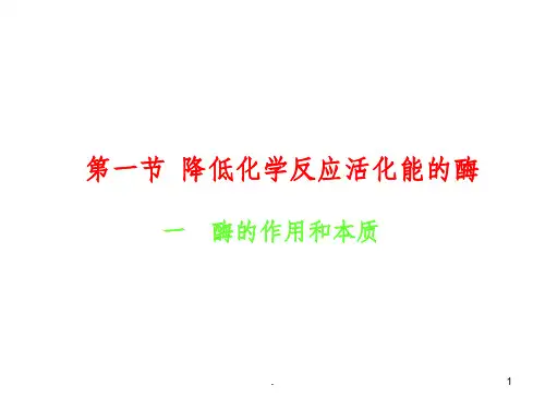 人教版高中生物必修一第五章完整ppt课件
