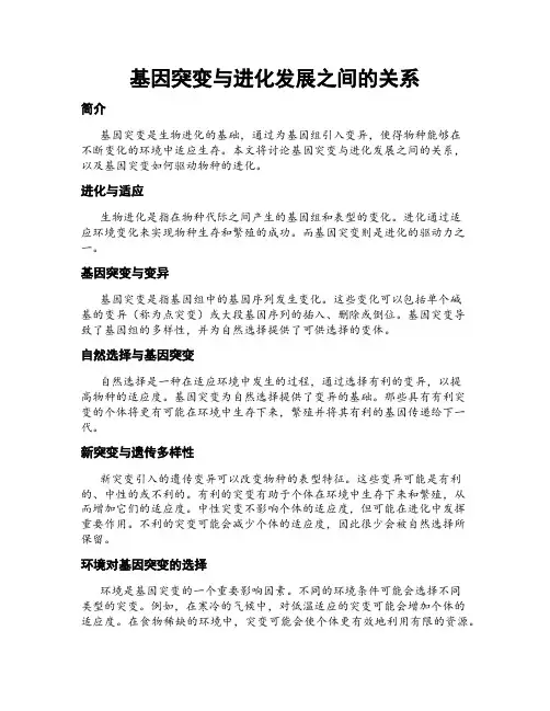 基因突变与进化发展之间的关系