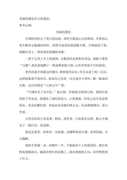 美丽的遇见作文玫瑰花