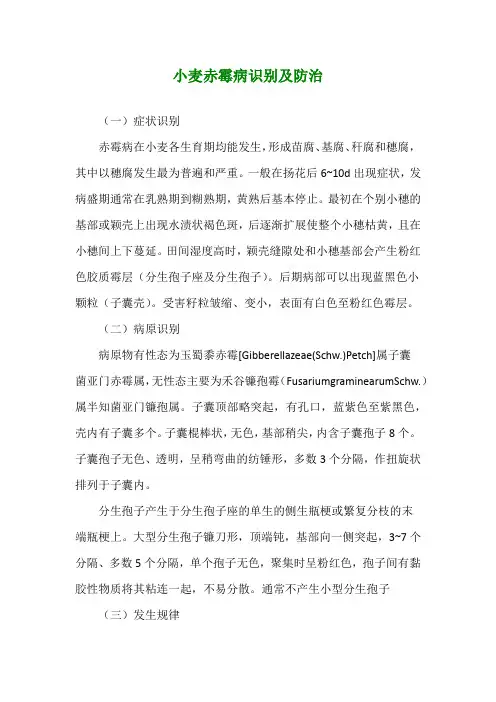 小麦赤霉病识别及防治