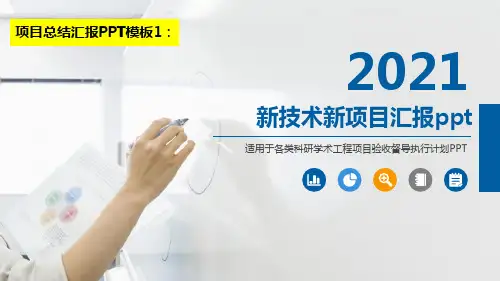 新技术新项目汇报ppt