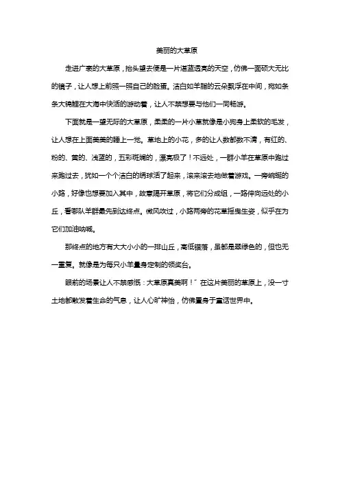 美丽的大草原