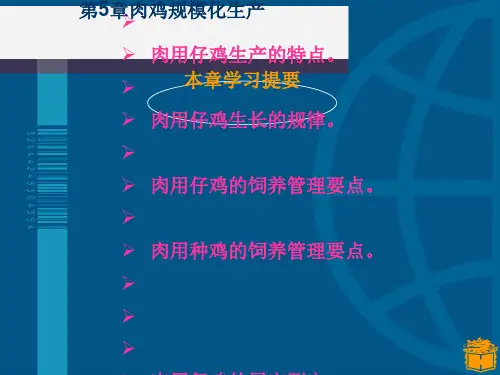 肉鸡规模化生产培训课件(PPT 38张)
