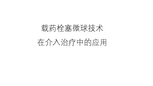 载药微球_精品文档