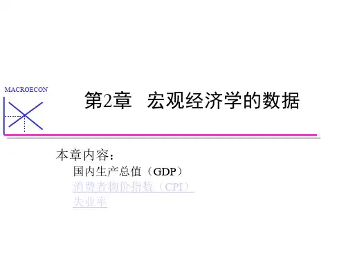 第二章 宏观经济学的数据 中文版