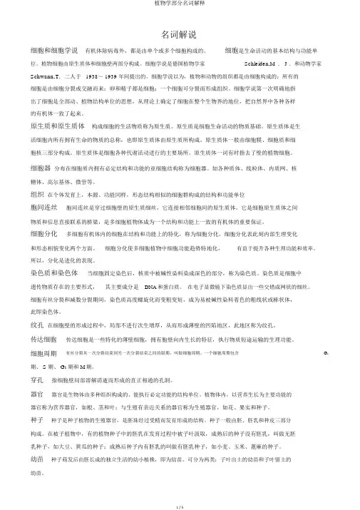 植物学部分名词解释 