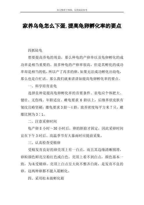家养乌龟怎么下蛋,提高龟卵孵化率的要点