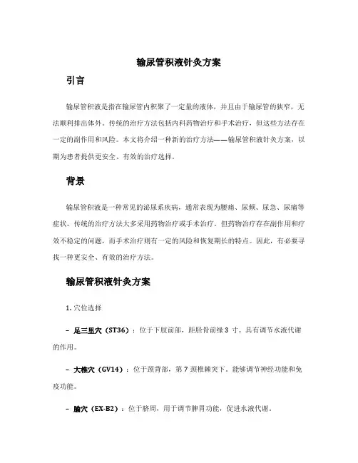输尿管积液针灸方案