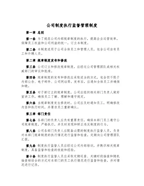 公司制度执行监督管理制度