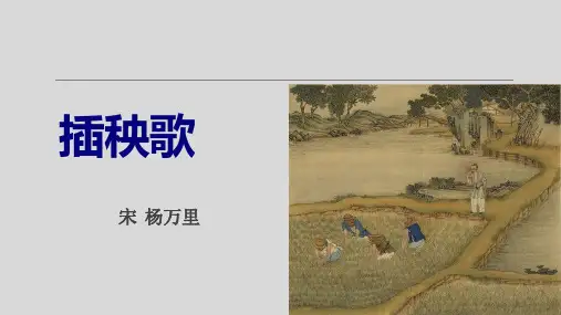 【公开课课件】《插秧歌》杨万里(统编版必修上册)