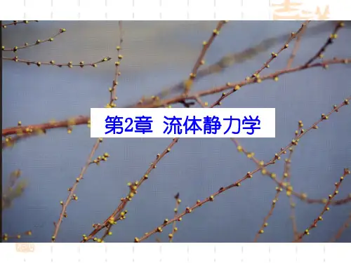 冶金传输原理第2章流体静力学.ppt