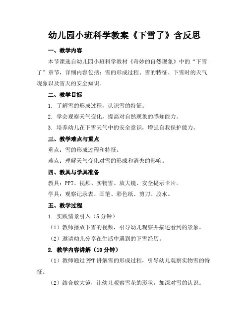 幼儿园小班科学教案《下雪了》含反思