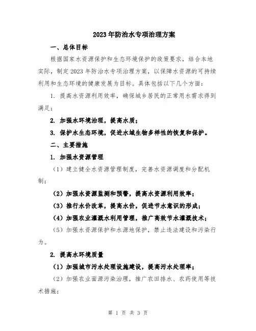 2023年防治水专项治理方案