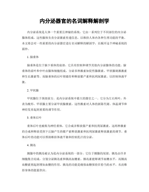 内分泌器官的名词解释解剖学