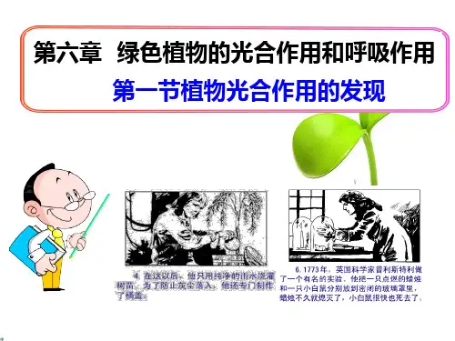 第一节植物光合作用的发现课件苏教版生物七年级上册