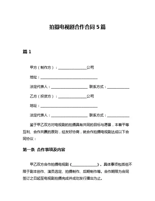 拍摄电视剧合作合同5篇