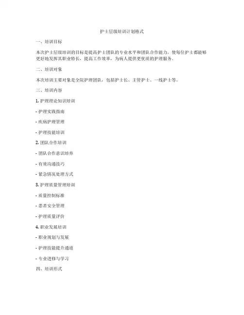护士层级培训计划格式
