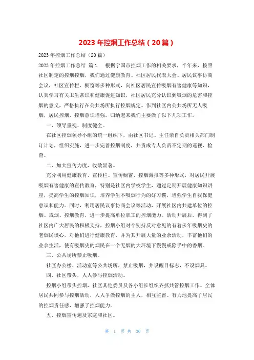 2023年控烟工作总结(20篇)