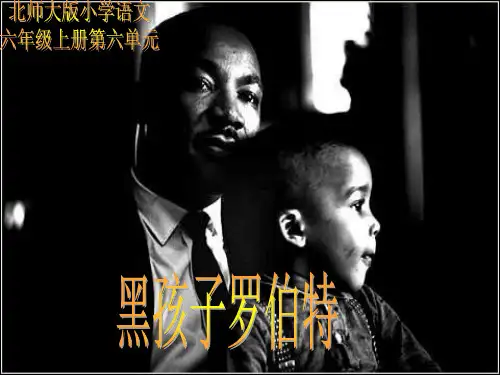 六年级语文黑孩子罗伯特