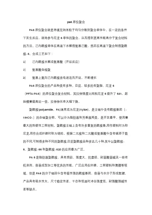 pa6原位聚合