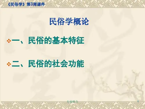 民俗特征及社会功能(参考研究)