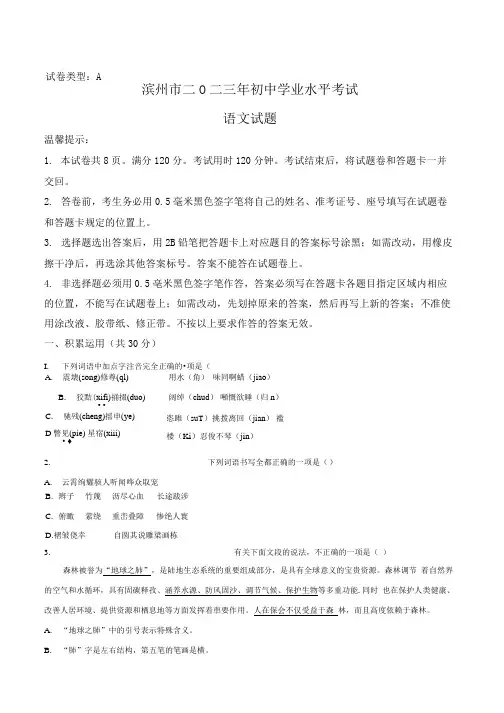 2023年山东省滨州市中考语文真题卷(含答案与解析)