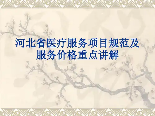 河北省医疗服务项目规范及服务价格重点讲解