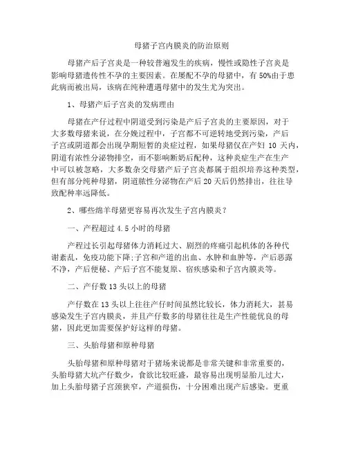母猪子宫内膜炎的防治原则
