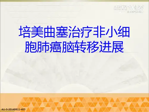 力比泰治疗脑转移进展ppt课件