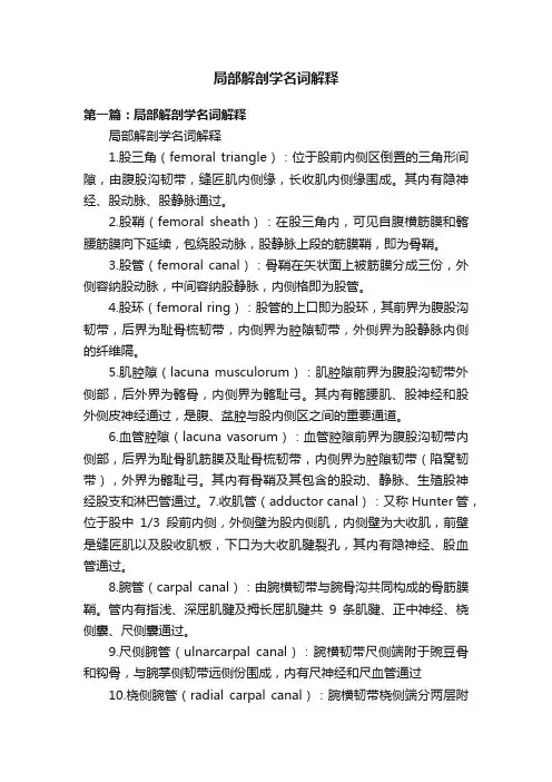 局部解剖学名词解释