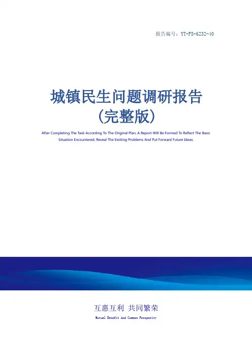 城镇民生问题调研报告(完整版)