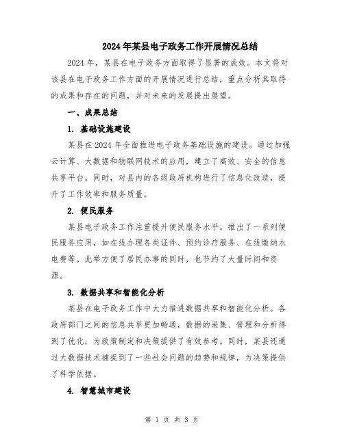 2024年某县电子政务工作开展情况总结